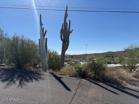 145 W SAHUARO Drive 71 Queen Valley AZ 85118