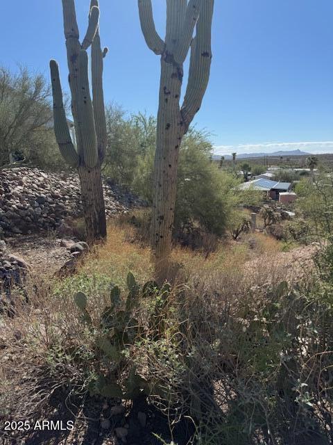 145 W SAHUARO Drive 71