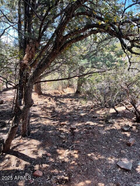 9 Lodgepole Circle 9