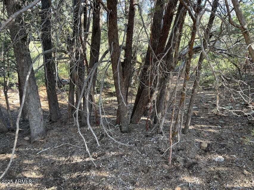 9 Lodgepole Circle 9