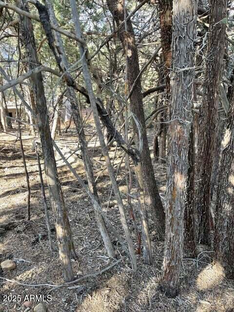 9 Lodgepole Circle 9