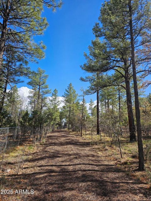 5449 HERD Street Pinedale AZ 85934