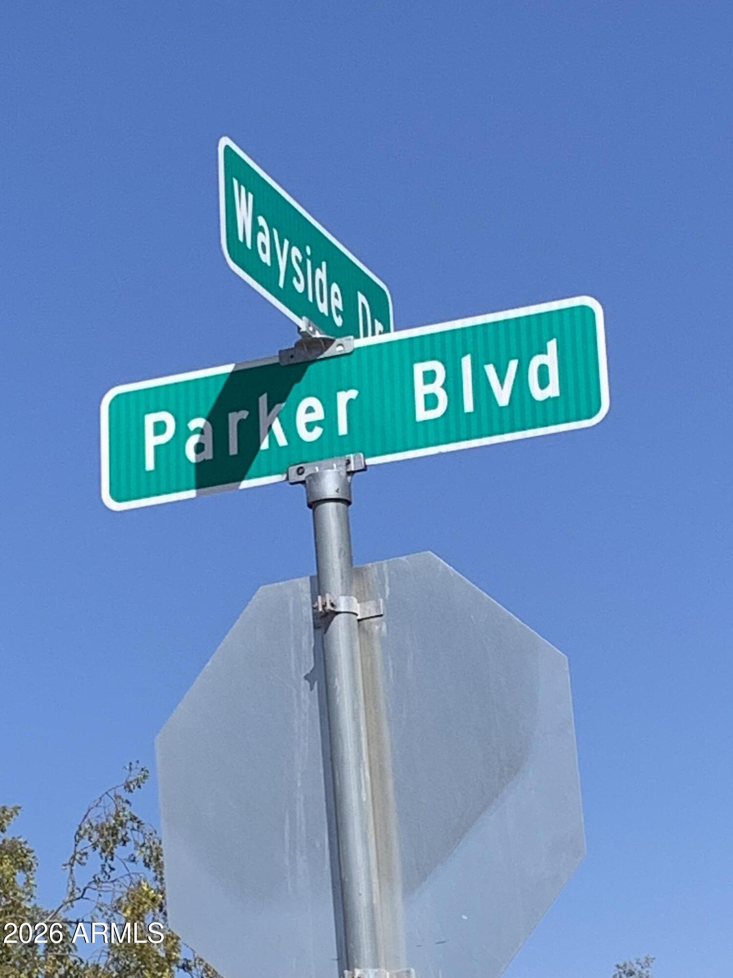 31251 WAYSIDE Drive -