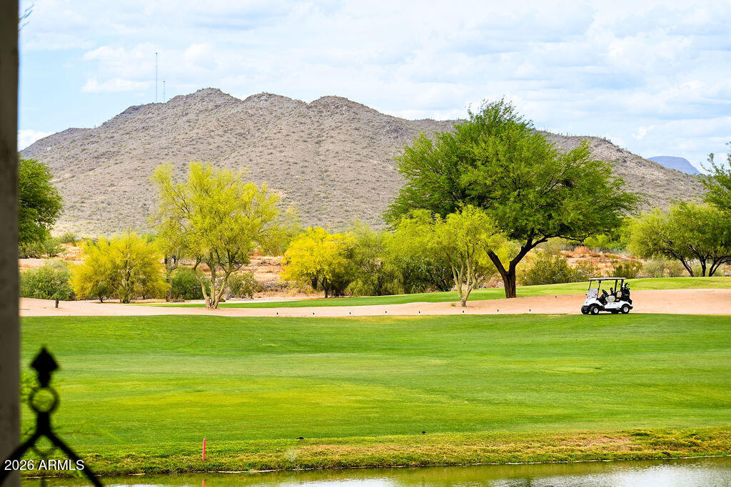 33550 N DOVE LAKES Drive 2011