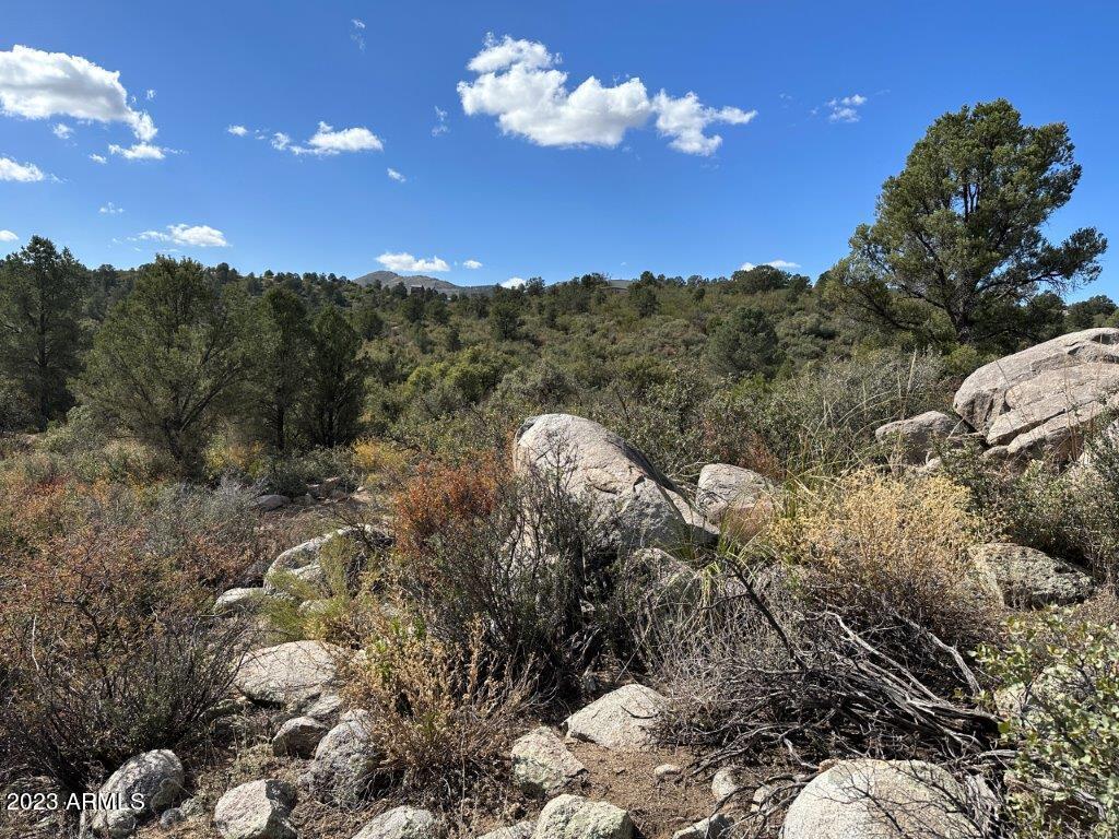 17926 S PINON Lane M5