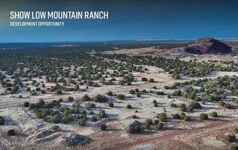 Photo of 0000 N Bourdon Ranch Road #-, Show Low, AZ 85901 (MLS # 6986177)