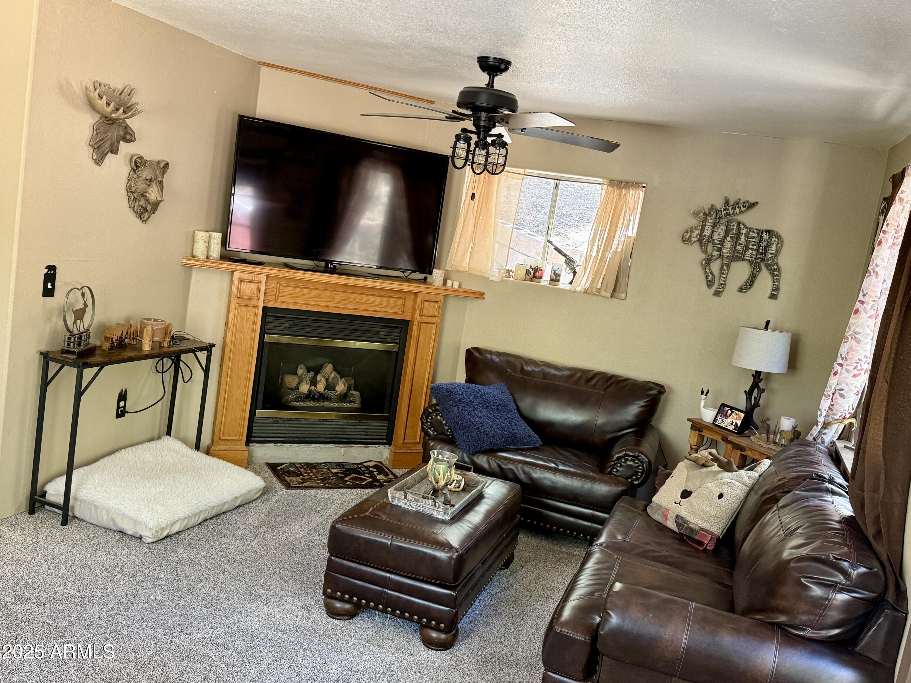 4455 E Accidental Lane