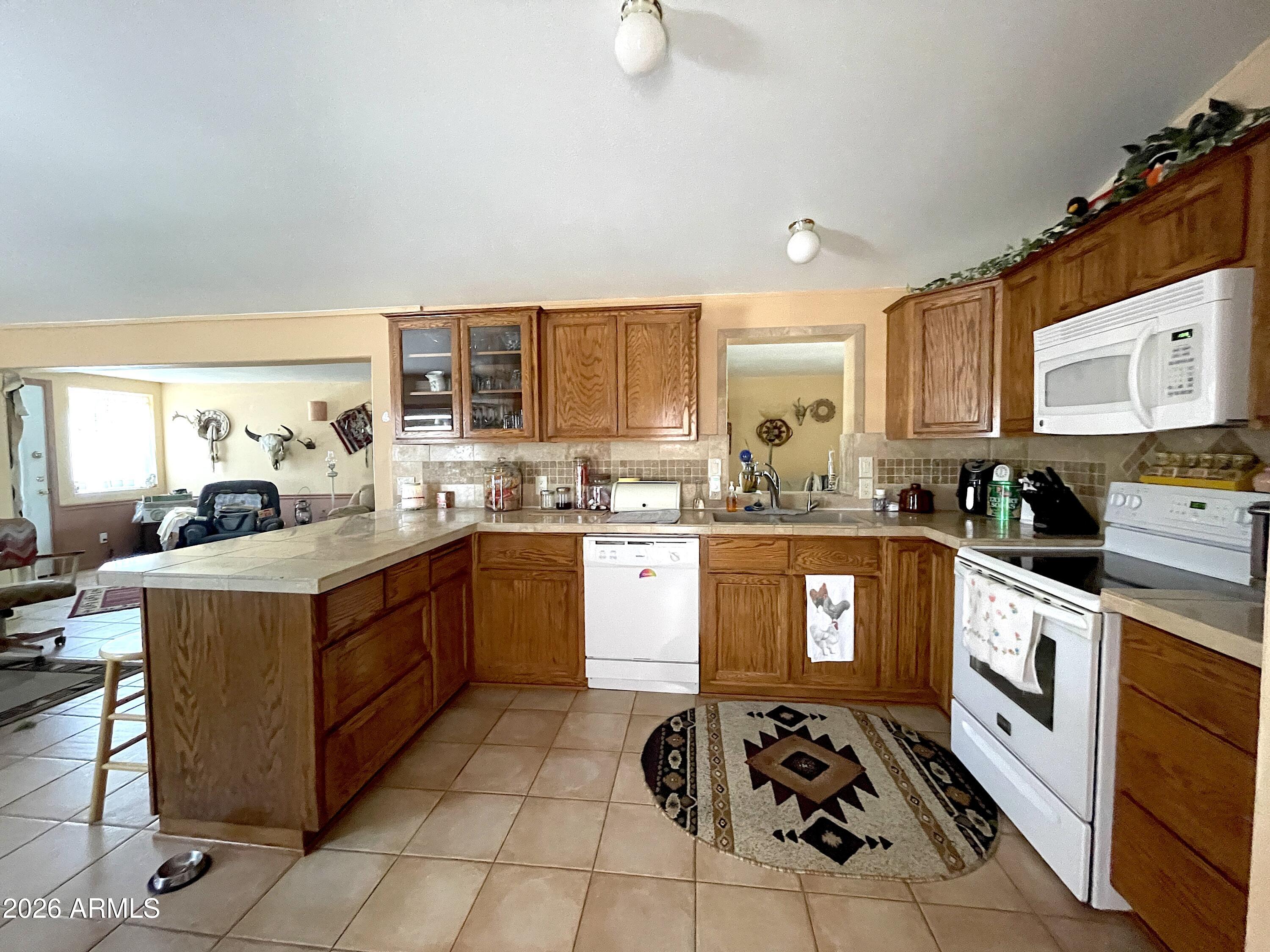 311 S PIEDRA NEGRA Drive