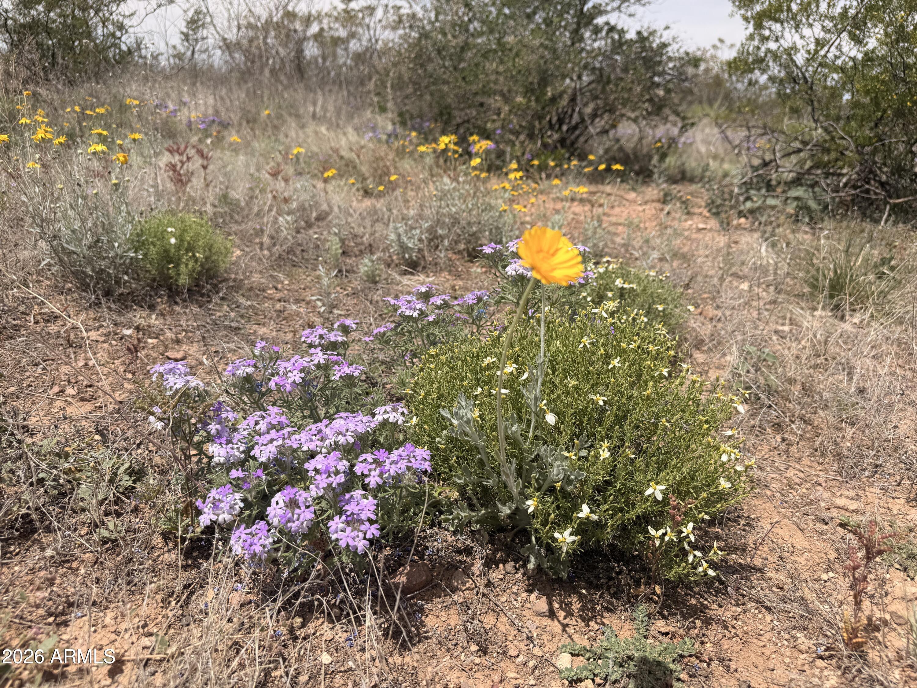 Lot 3969 N Valladolid Drive 3969