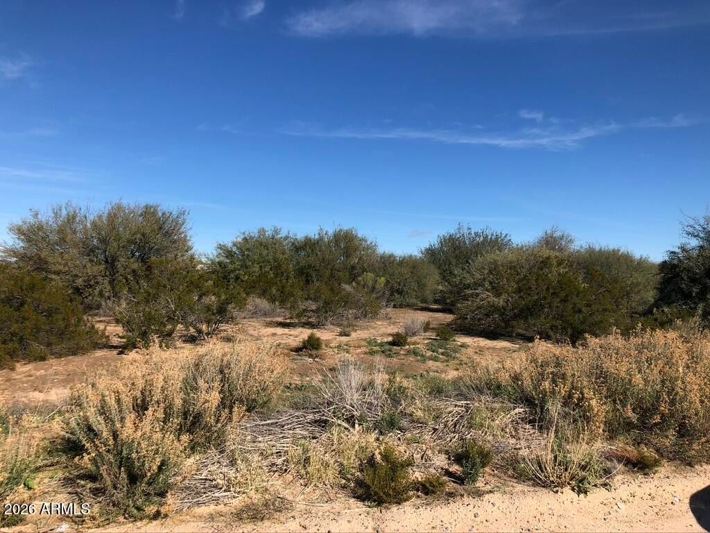 Photo of 0 W Buckeye Road #17, Tonopah, AZ 85354 (MLS # 6983654)