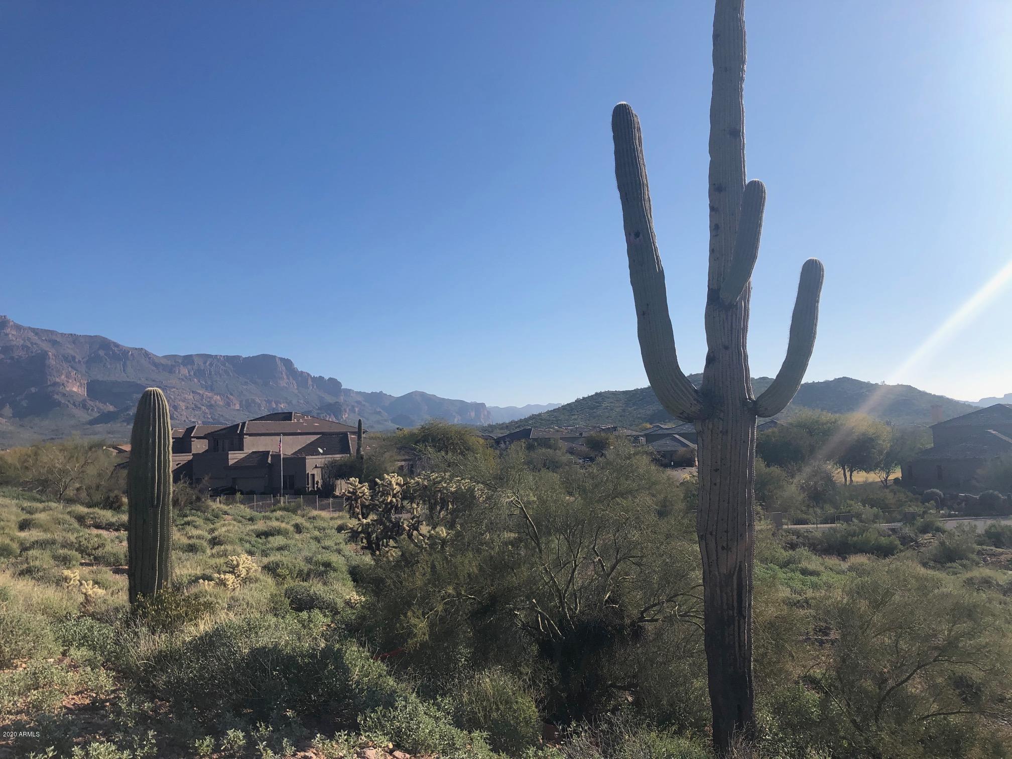 5311 S GOLD CANYON Drive 11