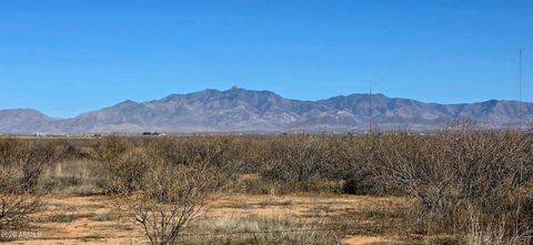 7668 S BEAR TRACK Trail 194 Willcox AZ 85643