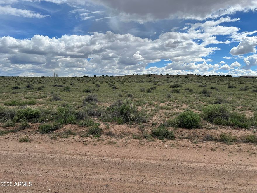 Amazing 40 Acres in Carrizo ranches with great road access and enough space to build an off grid home on the flat land below the mountain or above on the mountain for spectacular views.  Only a short distance to St. Johns but with solitude and nature of your own.  Seller may carry.  Agent is closely relater to seller.