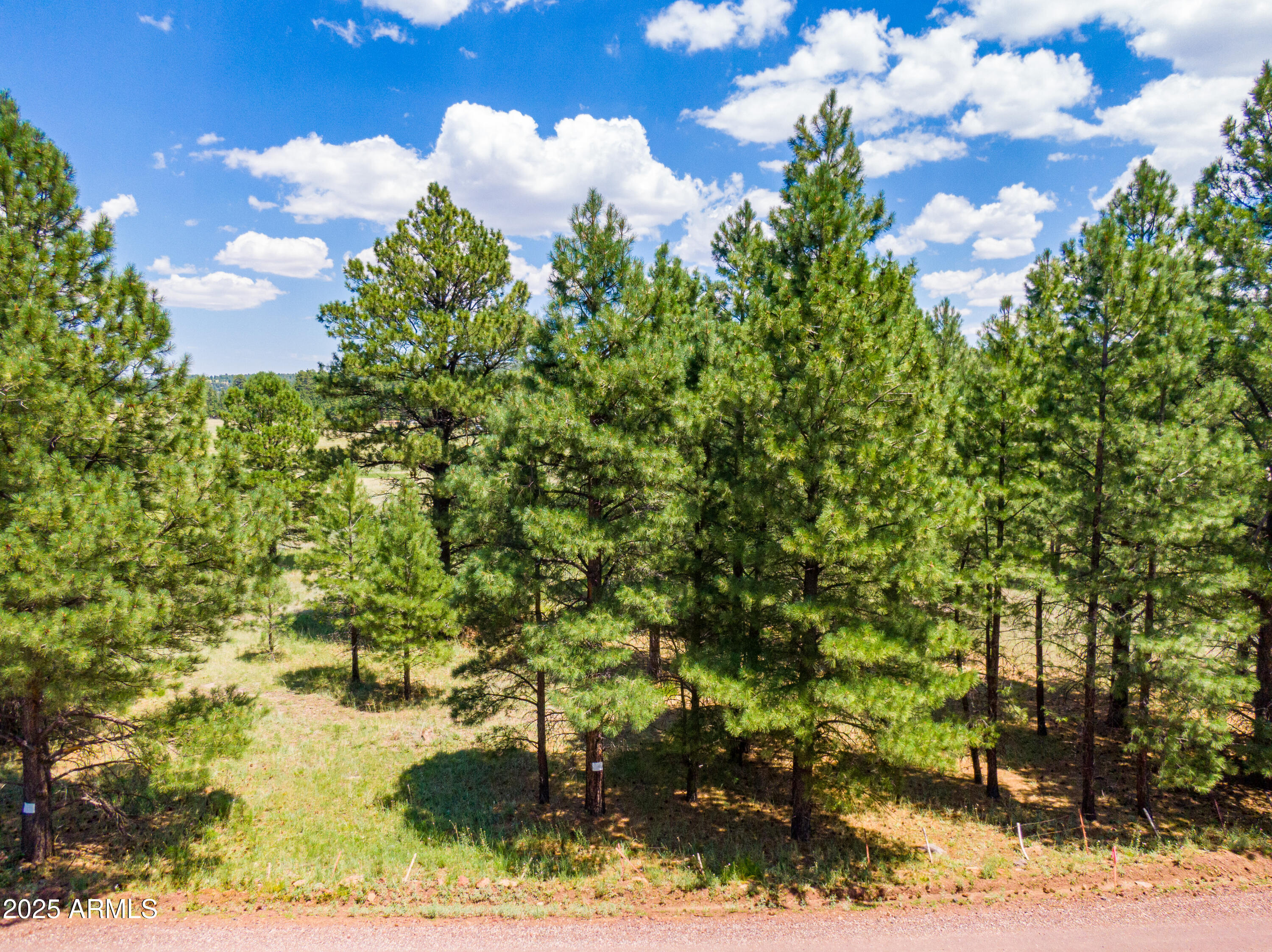 401 Lake Shore Drive -