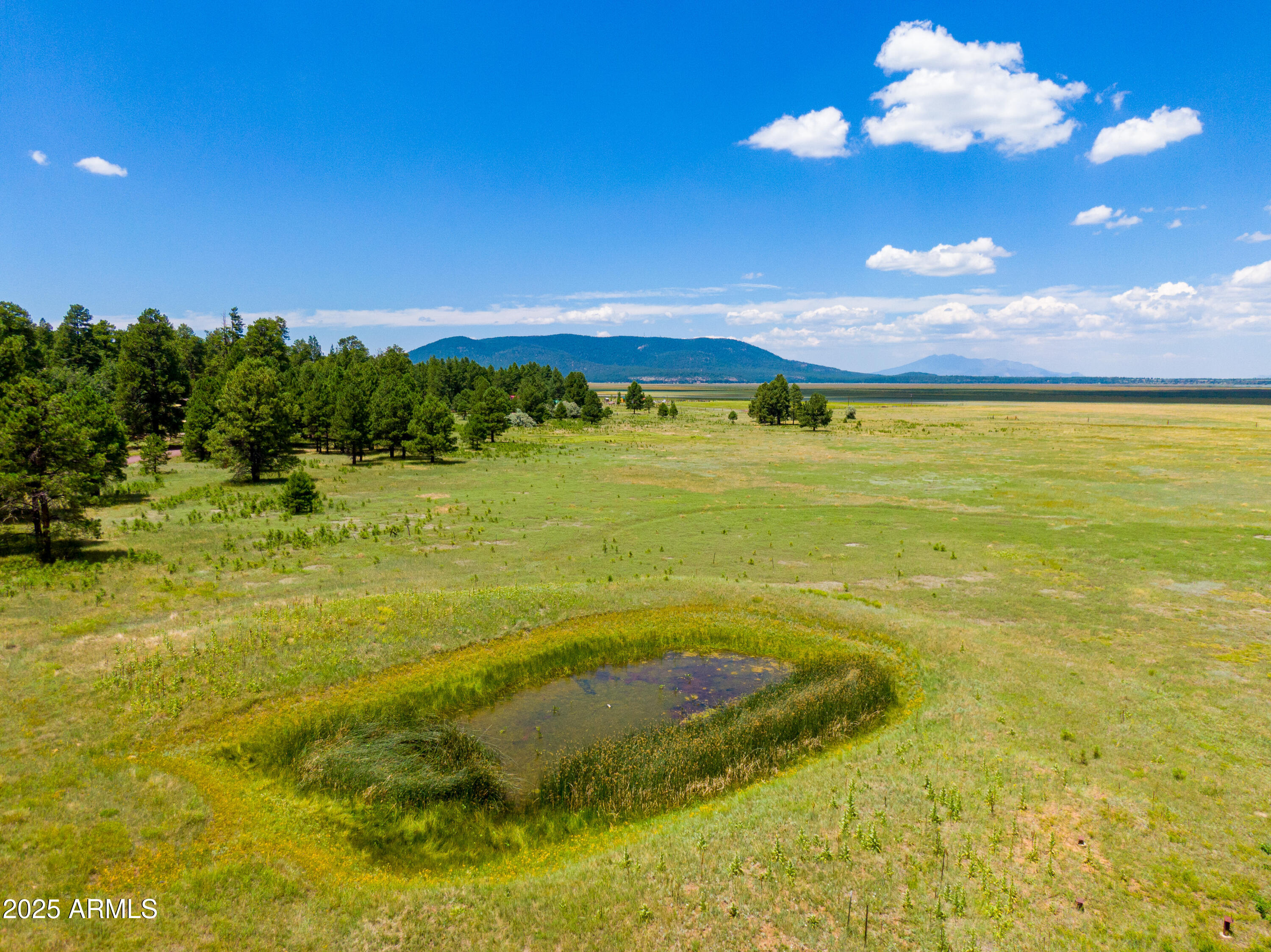 401 Lake Shore Drive -