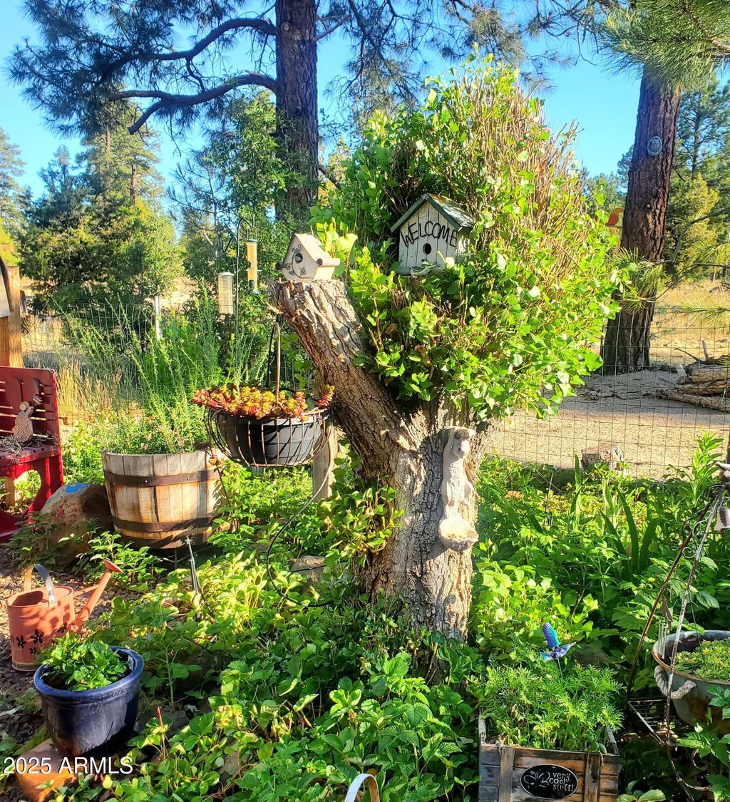 Photo of 1151 E Caribou Road, Munds Park, AZ 86017 (MLS # 6952511)