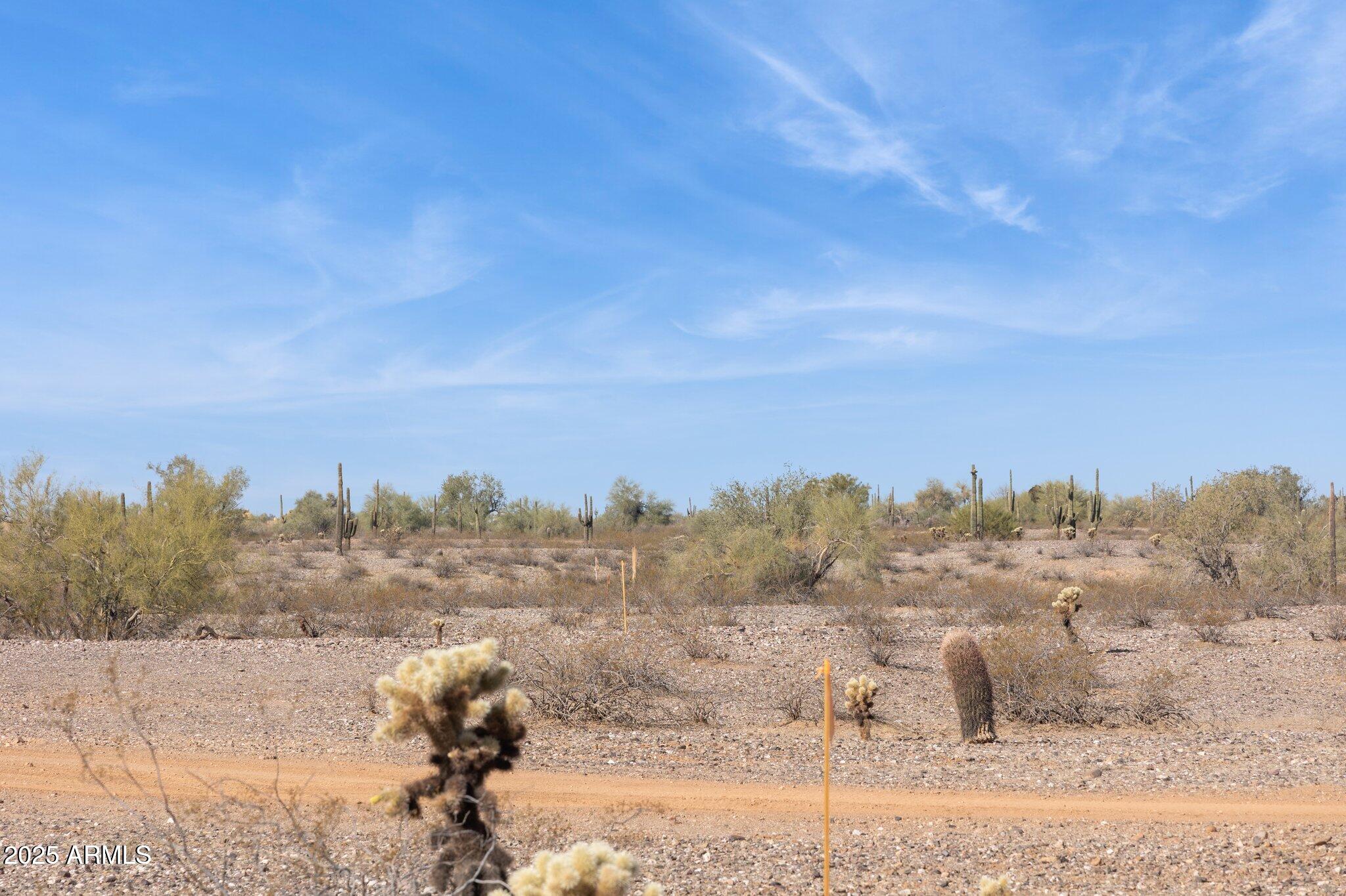 27864 N 158th Avenue 3