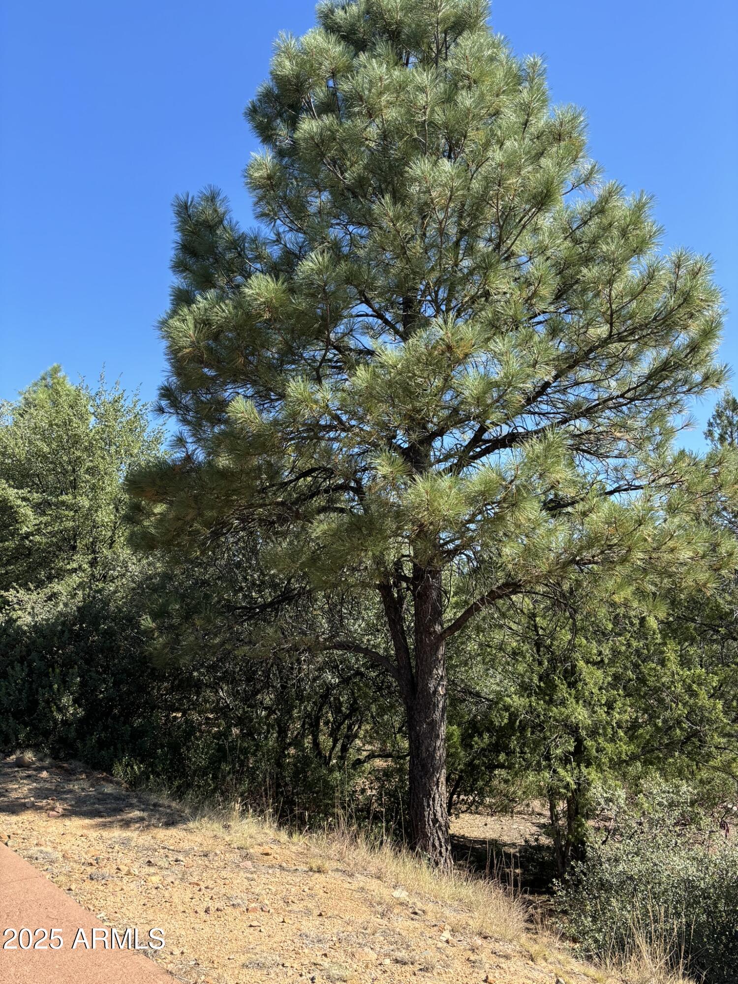 901 N Scenic Drive 80