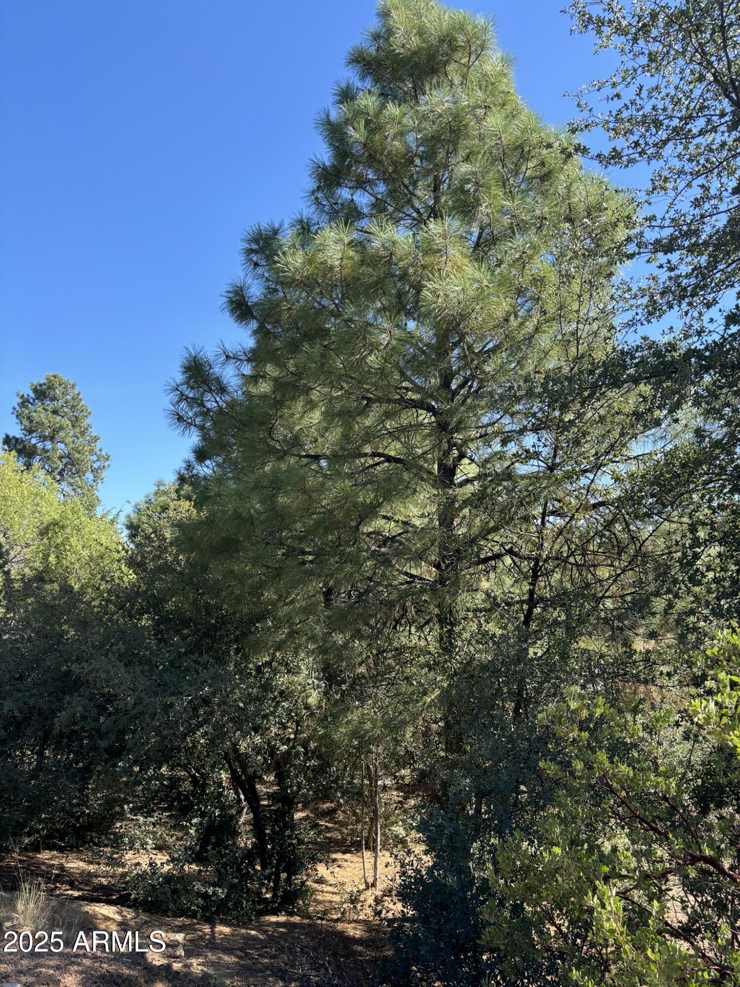 901 N Scenic Drive 80