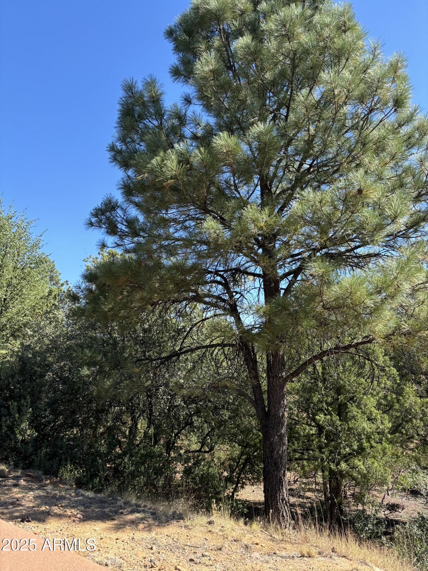 901 N Scenic Drive 80