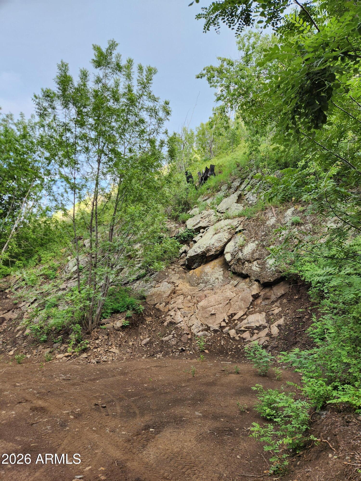 00 S Alexandra Road -