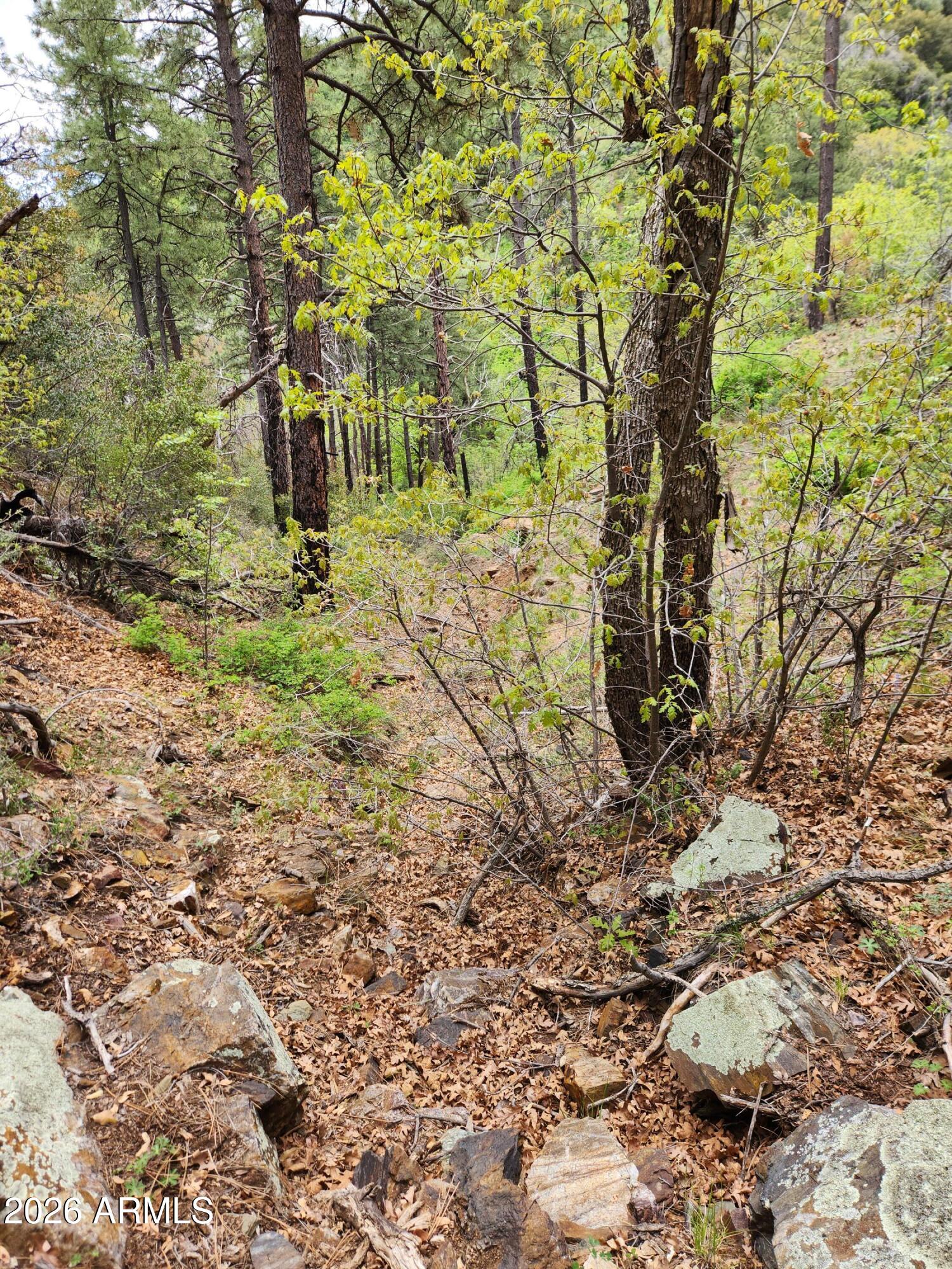 00 S Alexandra Road -