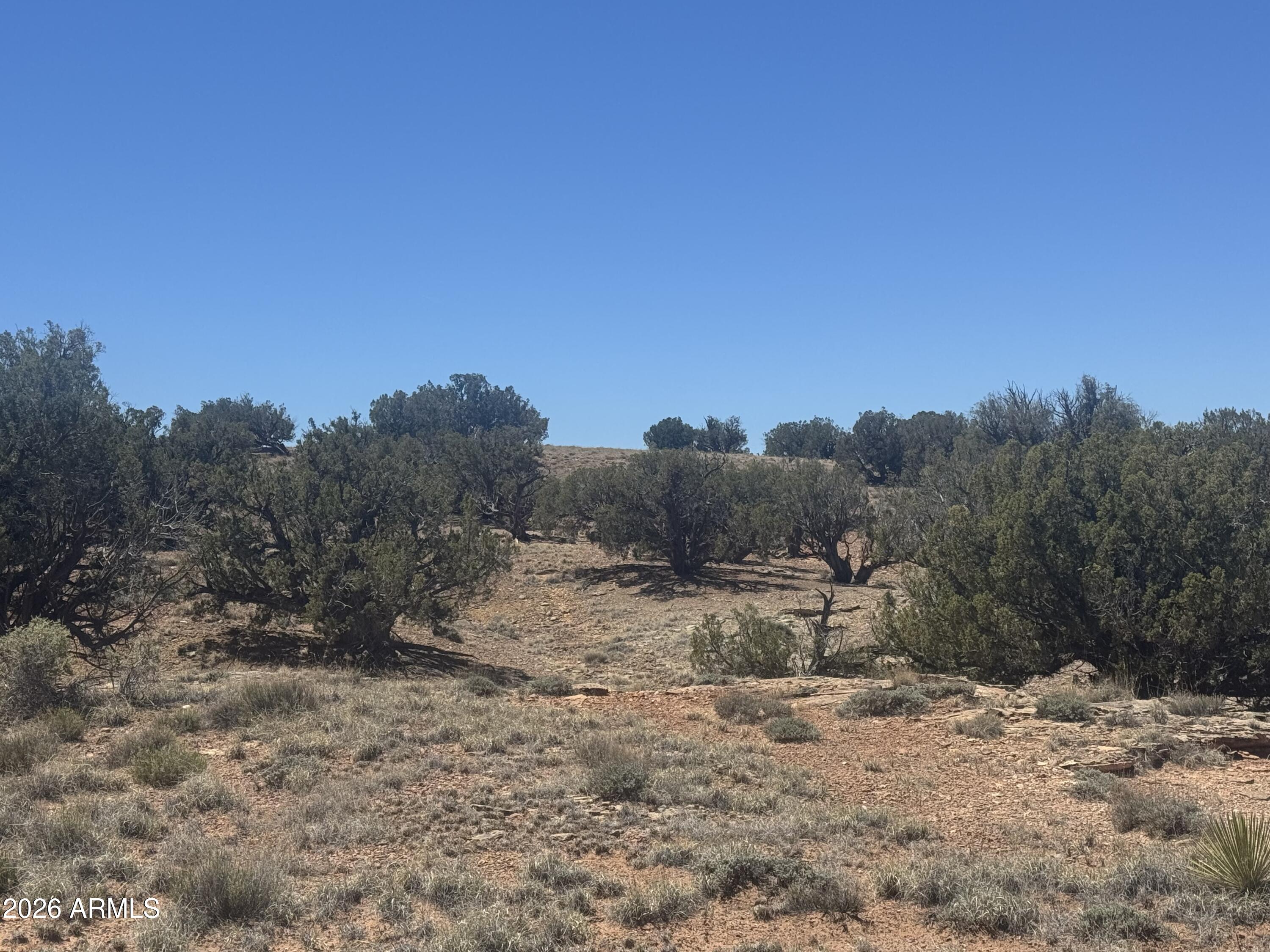 Lot 261 Woodridge Ranch -- 261