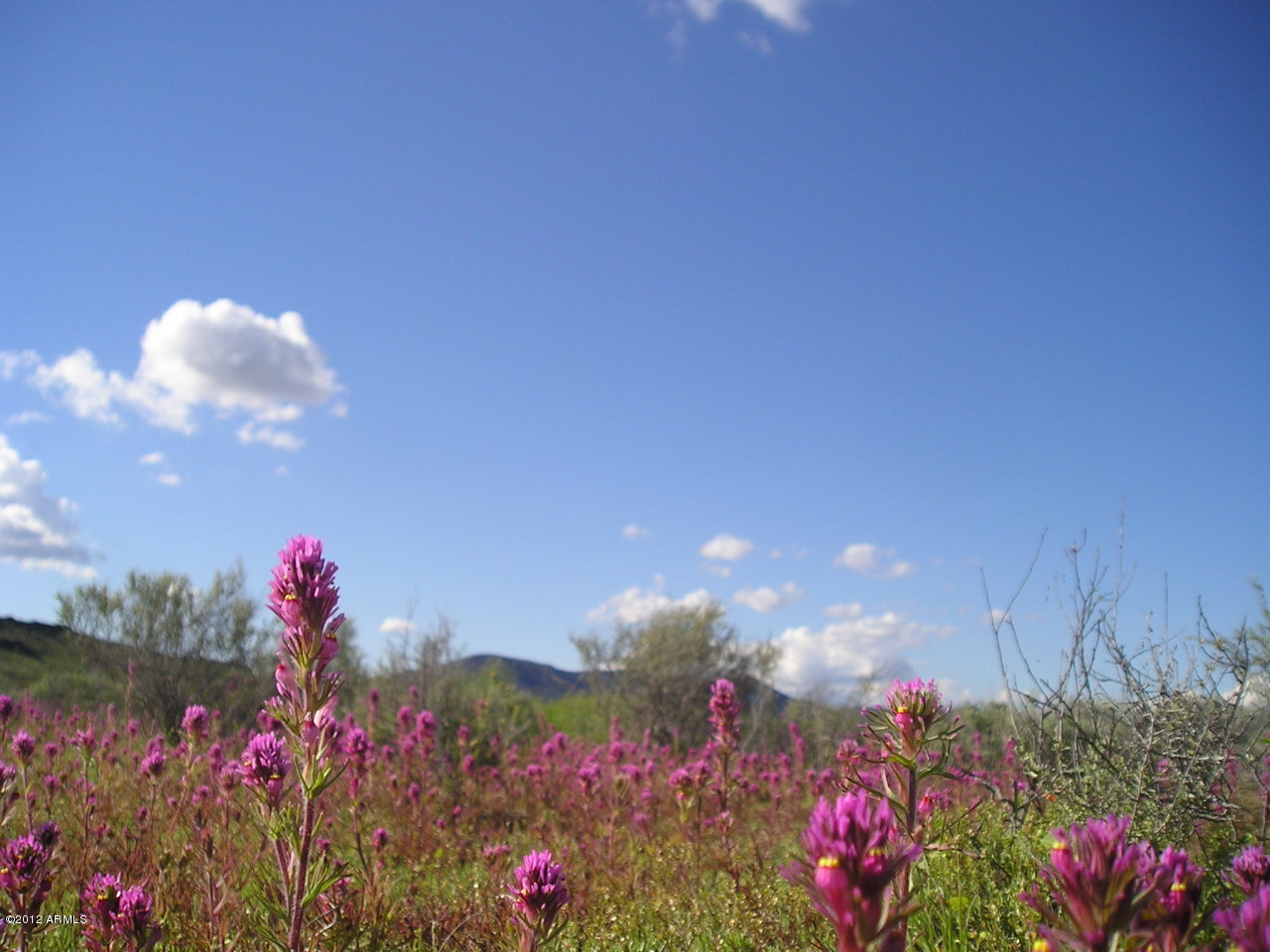 Tonopah, Arizona 85354, United States, ,Land,Active,69588