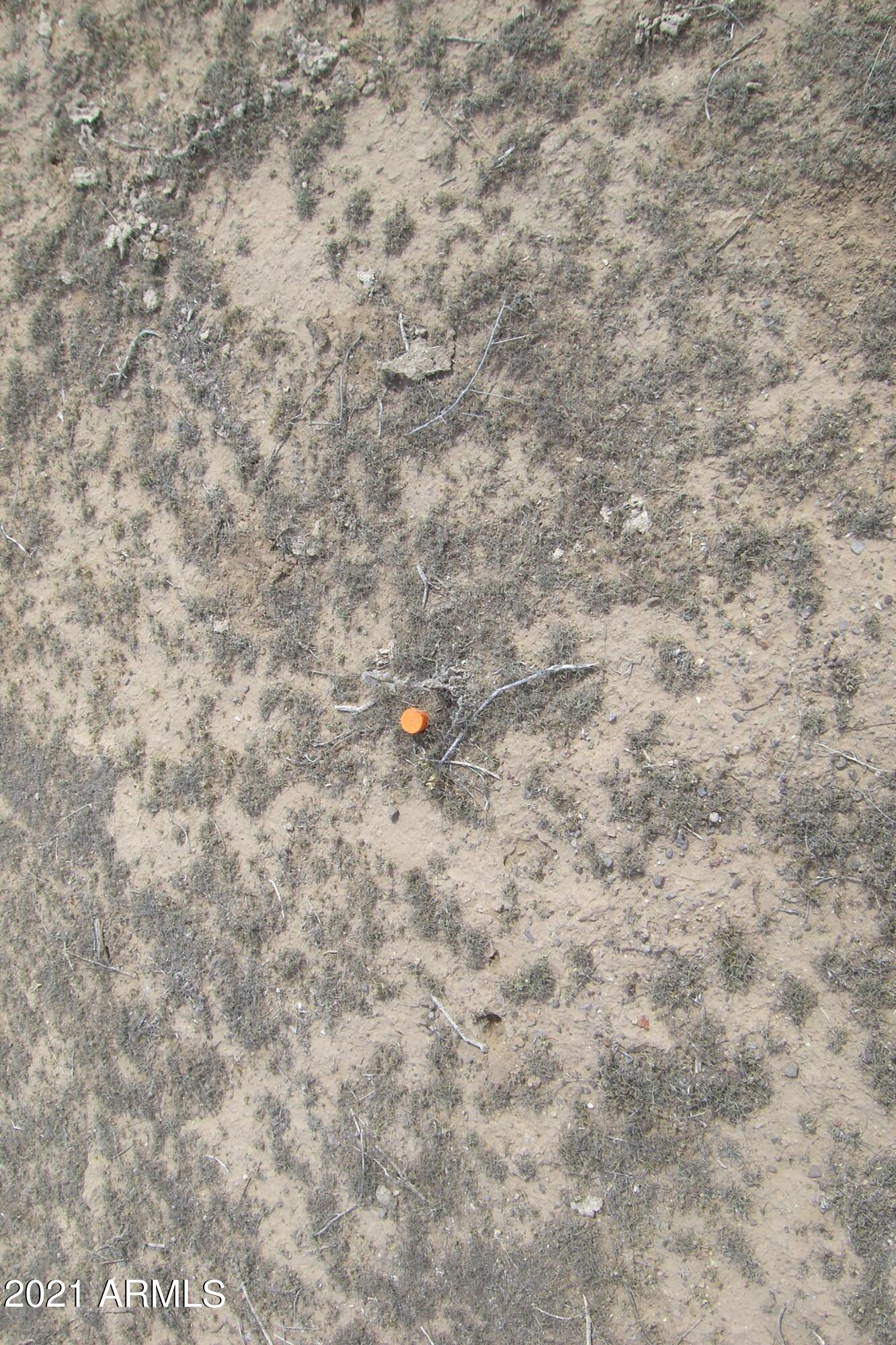 Tonopah, Arizona 85354, United States, ,Land,Active,69588