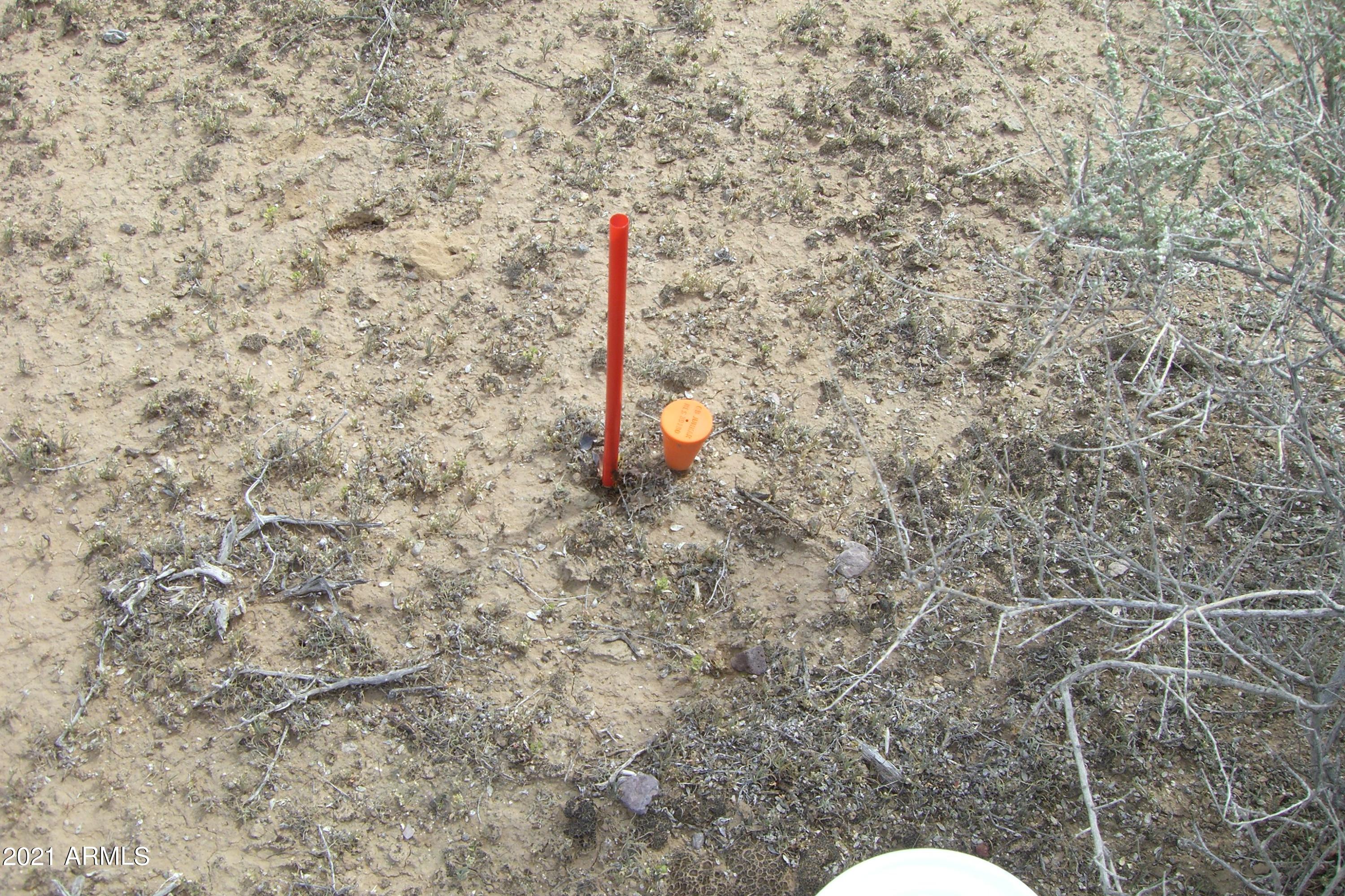 Tonopah, Arizona 85354, United States, ,Land,Active,69588