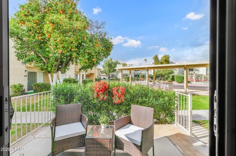 4630 N 68TH Street 248 Scottsdale AZ 85251