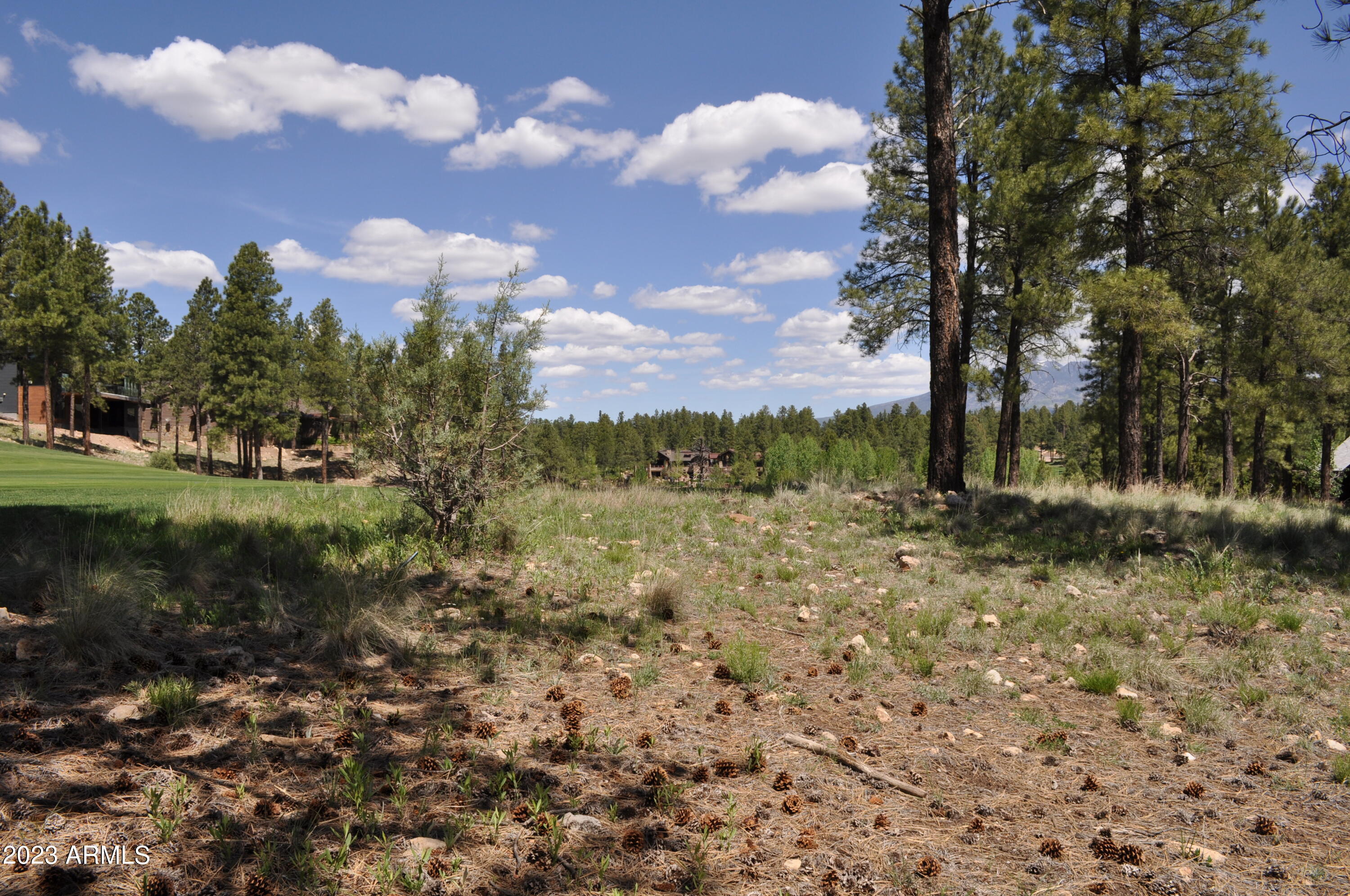 Pine Canyon - Land