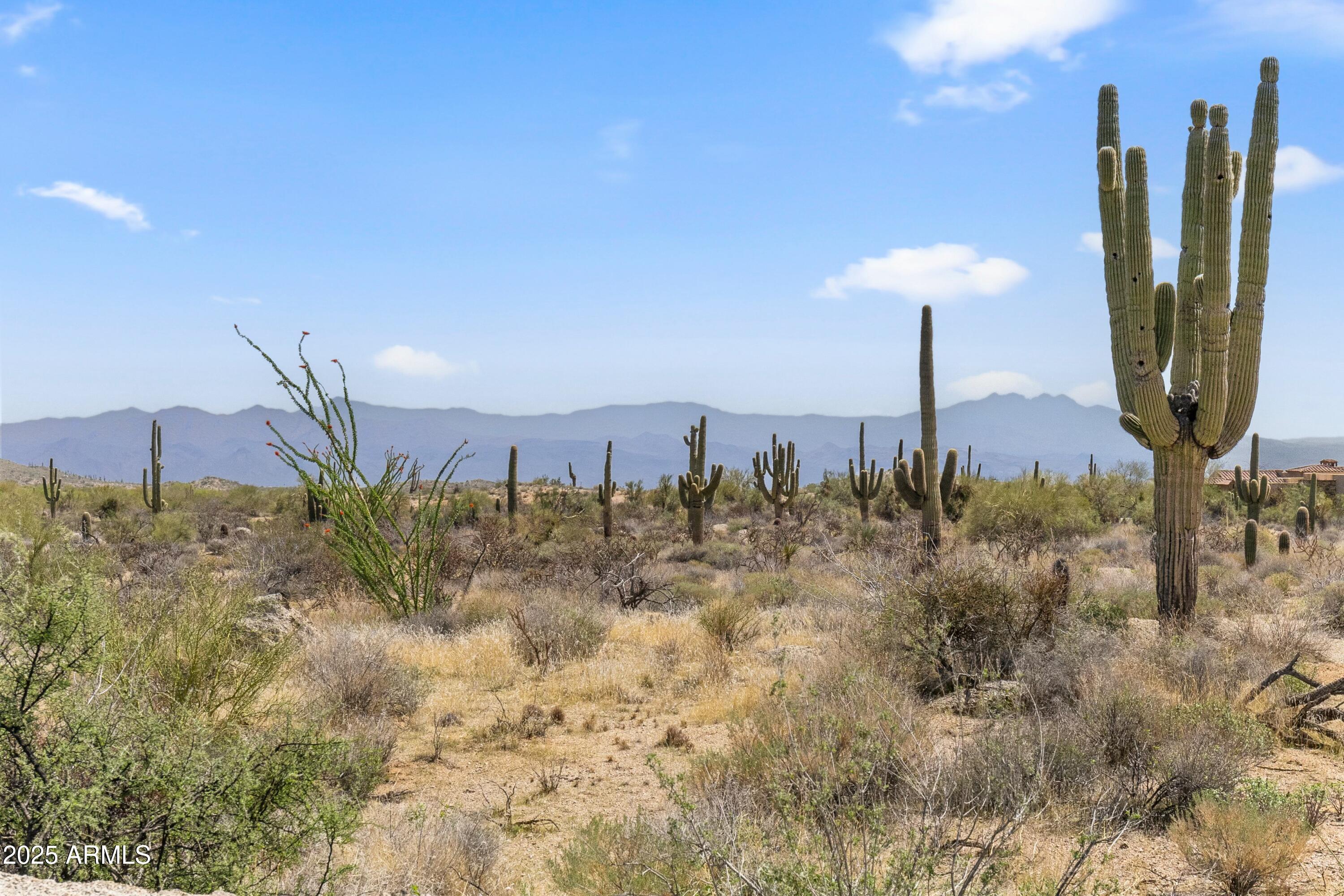 11650 E BLUE SKY Drive -