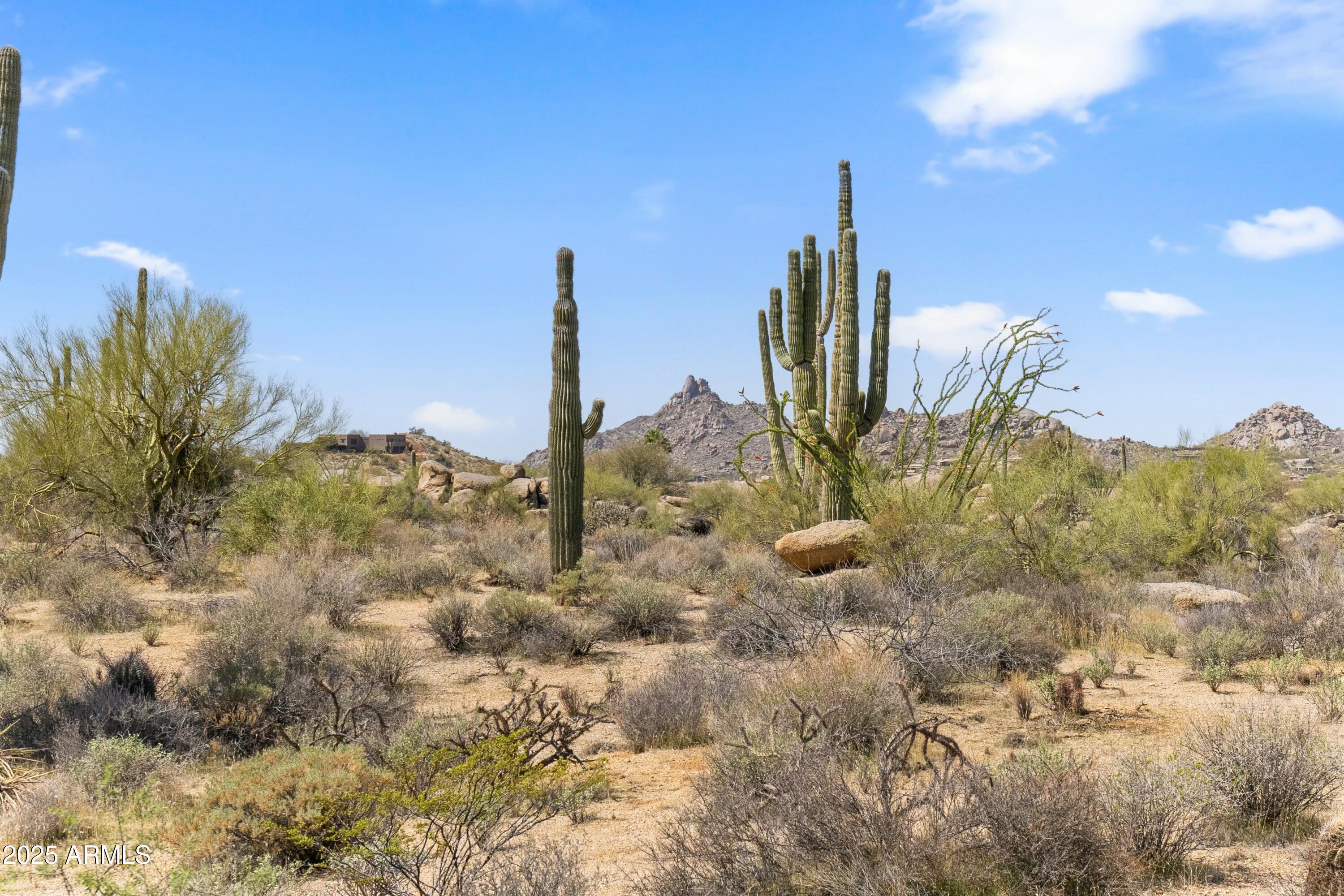 11650 E BLUE SKY Drive -
