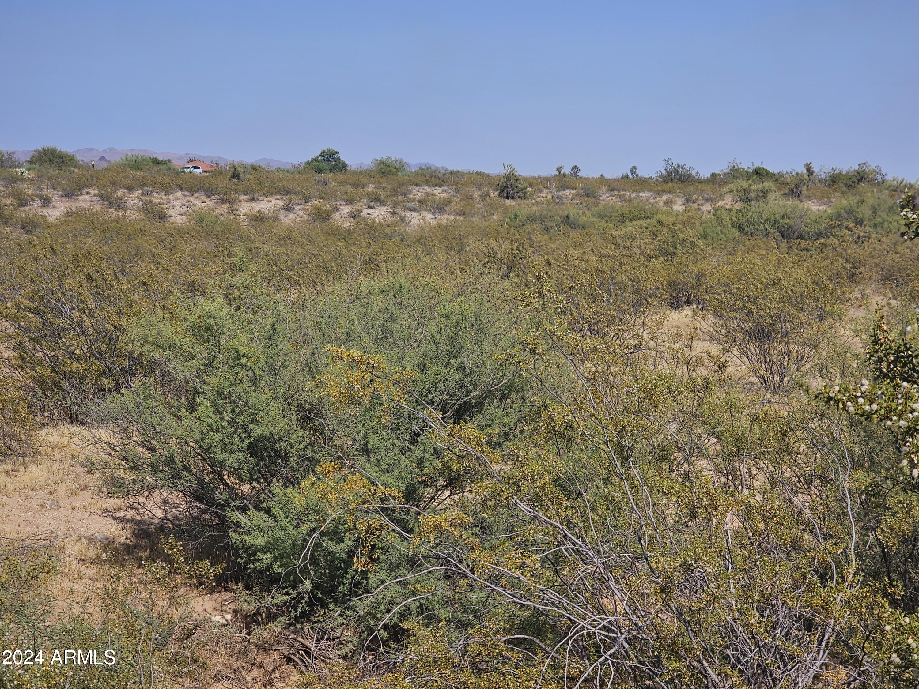 35125 S ANTELOPE CREEK Road 20