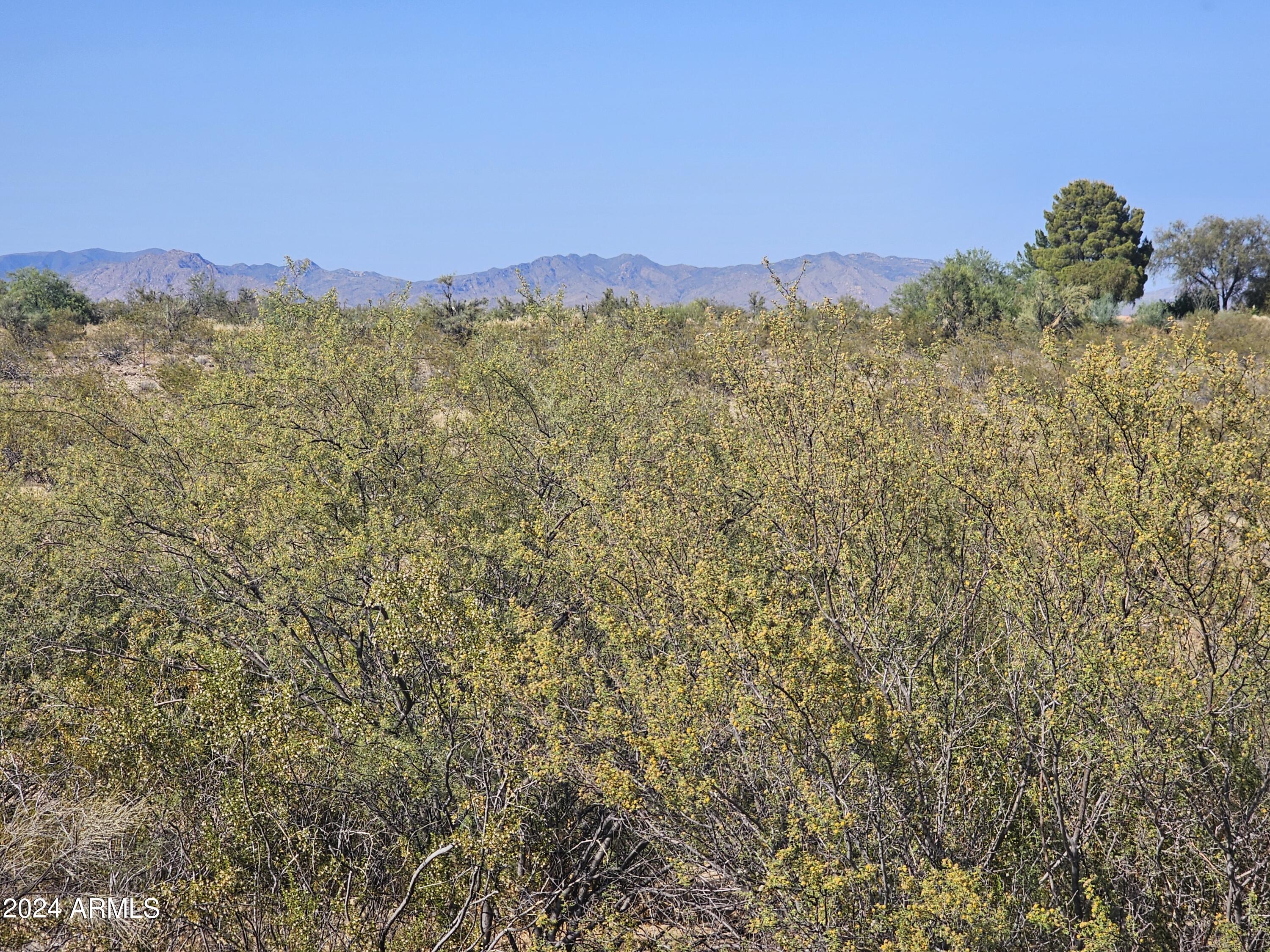 35125 S ANTELOPE CREEK Road 20