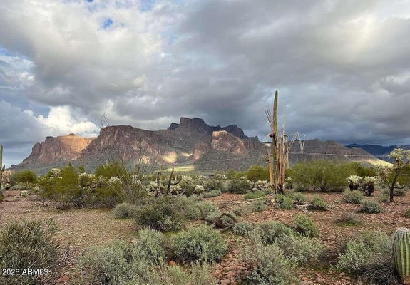 450 N GERONIMO RD, APACHE JUNCTION, AZ 85119 - Image 1a7539ce3b0e5e2a660263f916d2a410/896016992