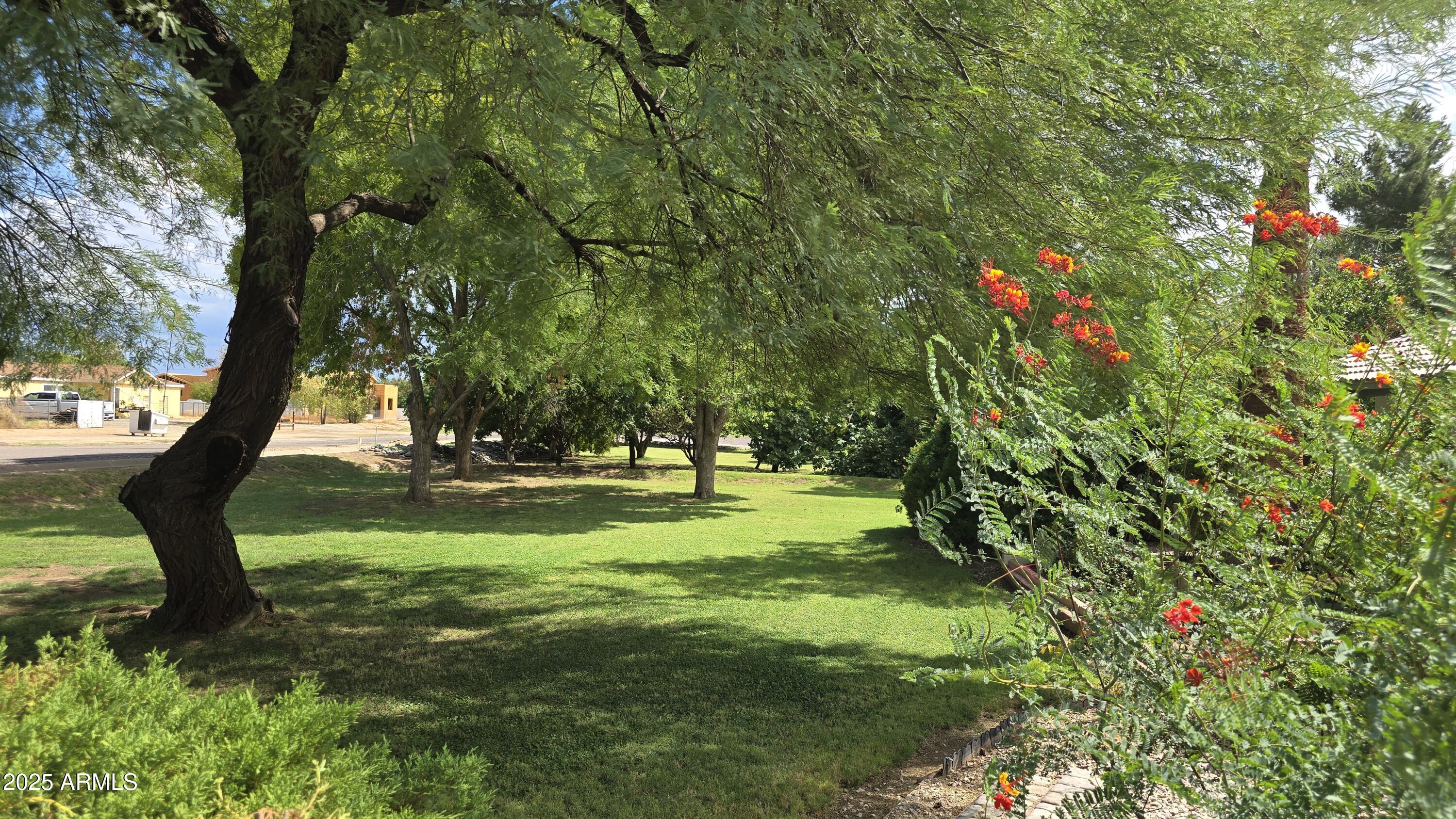 17633 W OCOTILLO Road