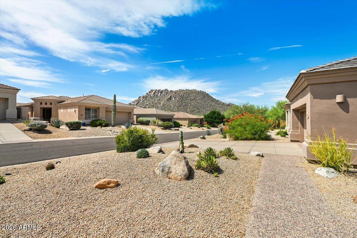 11574 E CHRISTMAS CHOLLA Drive