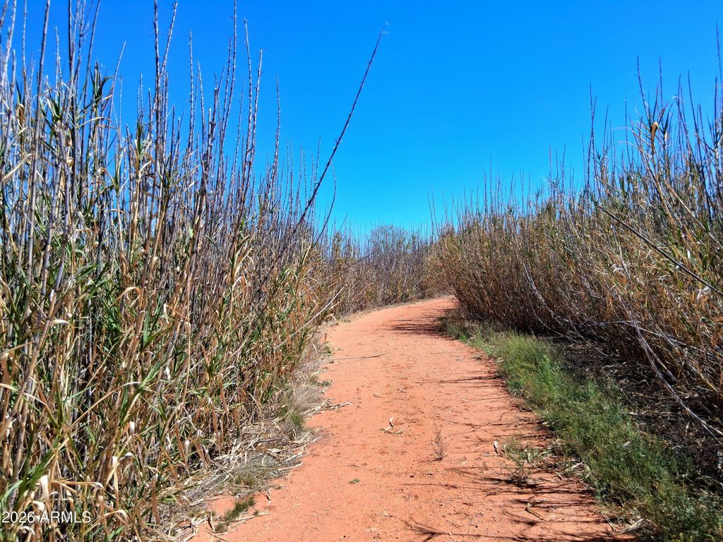 Photo of 13588 S Desert Dawn Drive #-, Elfrida, AZ 85610 (MLS # 7002326)