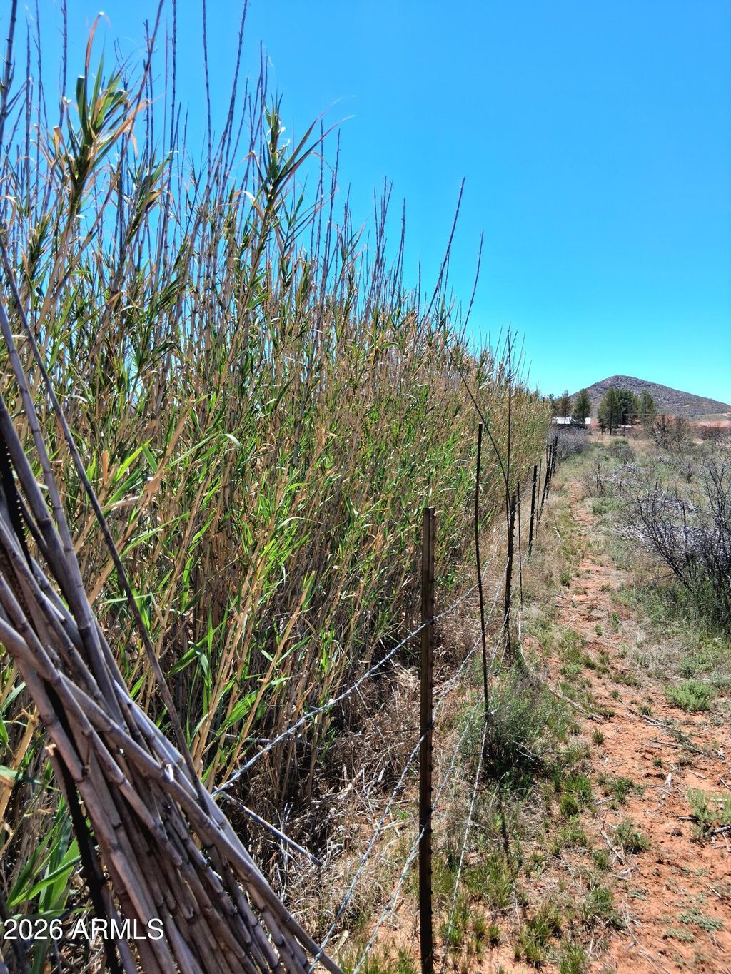 Photo of 13588 S Desert Dawn Drive #-, Elfrida, AZ 85610 (MLS # 7002326)