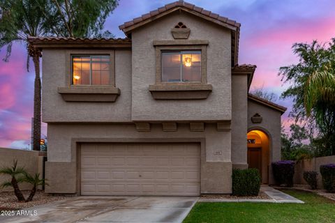 974 W DESERT BROOM Court Chandler AZ 85248