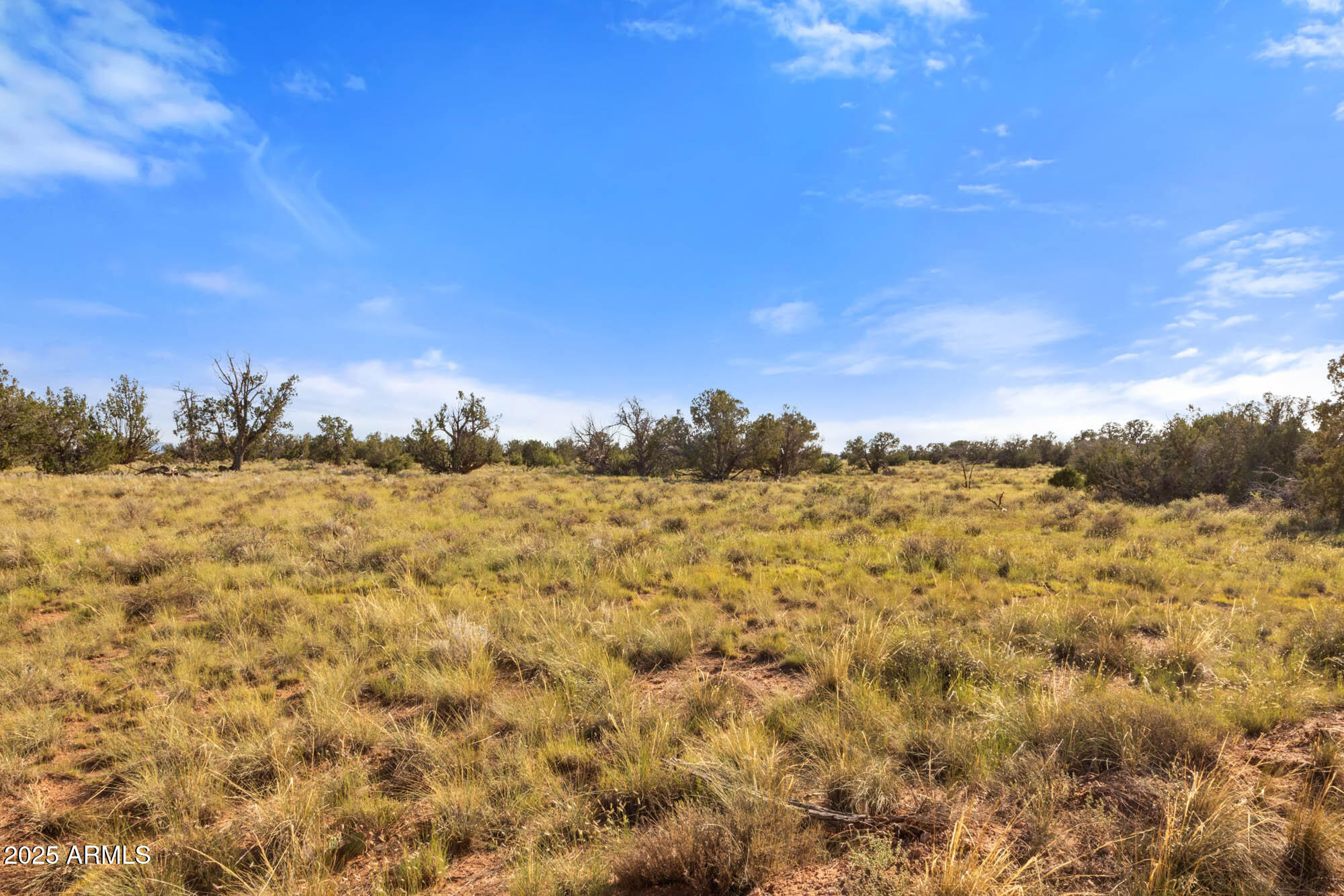 GRAND CANYON RANCHES - Land