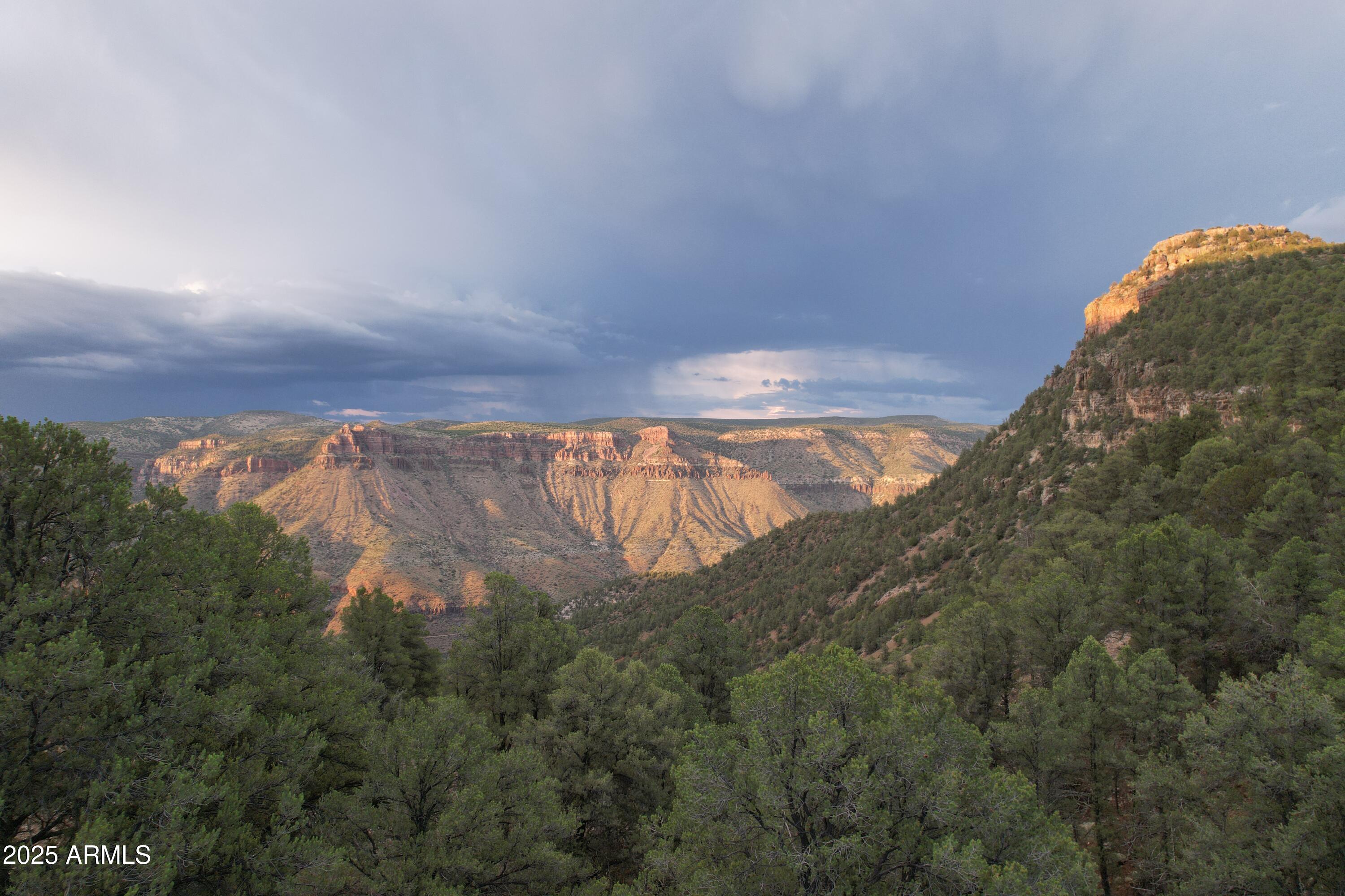 0 N Forest Rd Lake Senica District -- <>