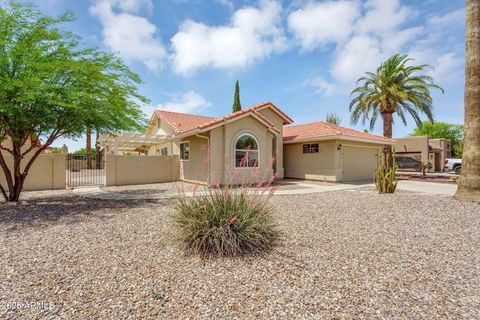 25462 S TRURO Drive Sun Lakes AZ 85248