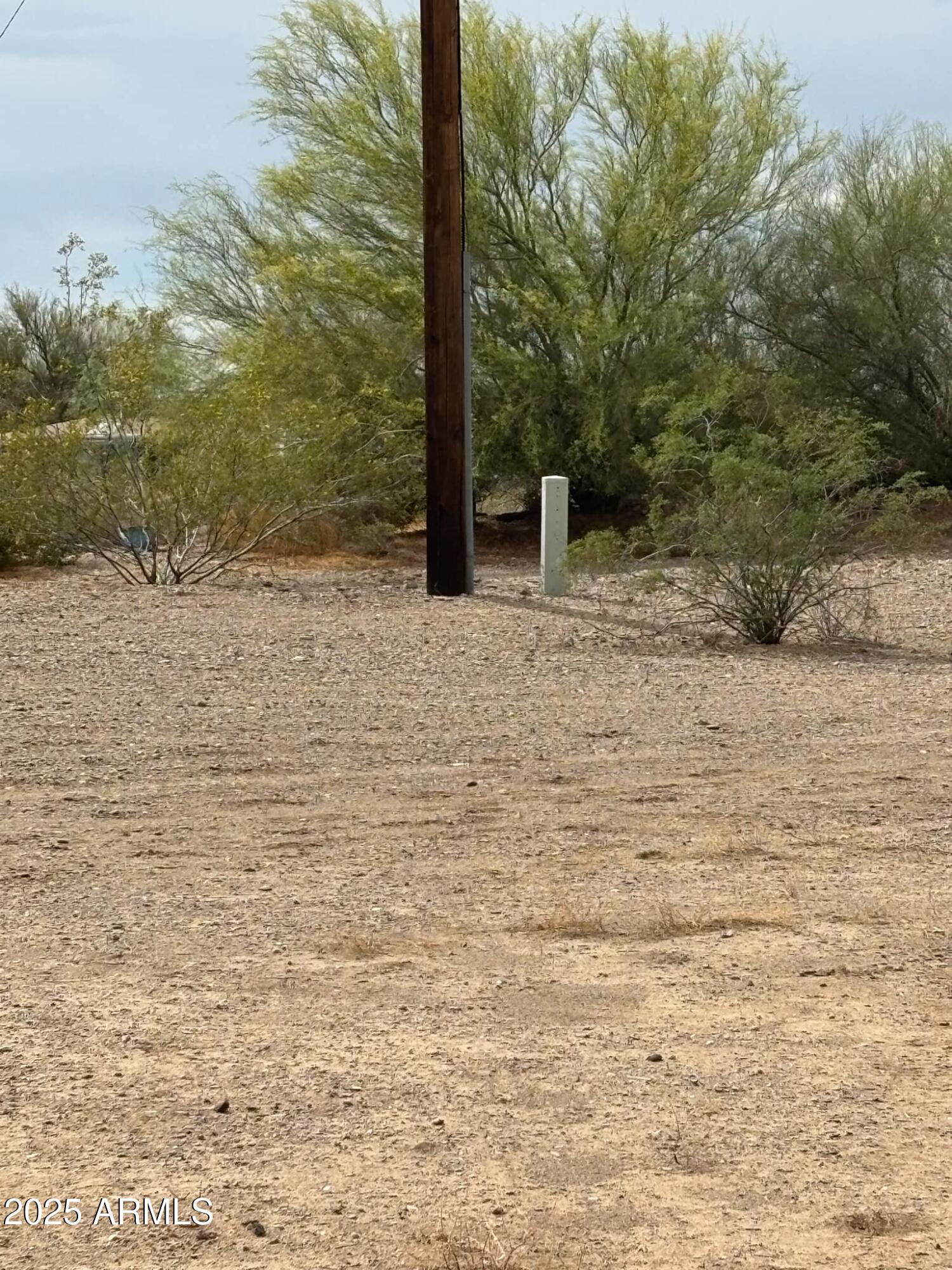 16515 W DIXILETA Drive C