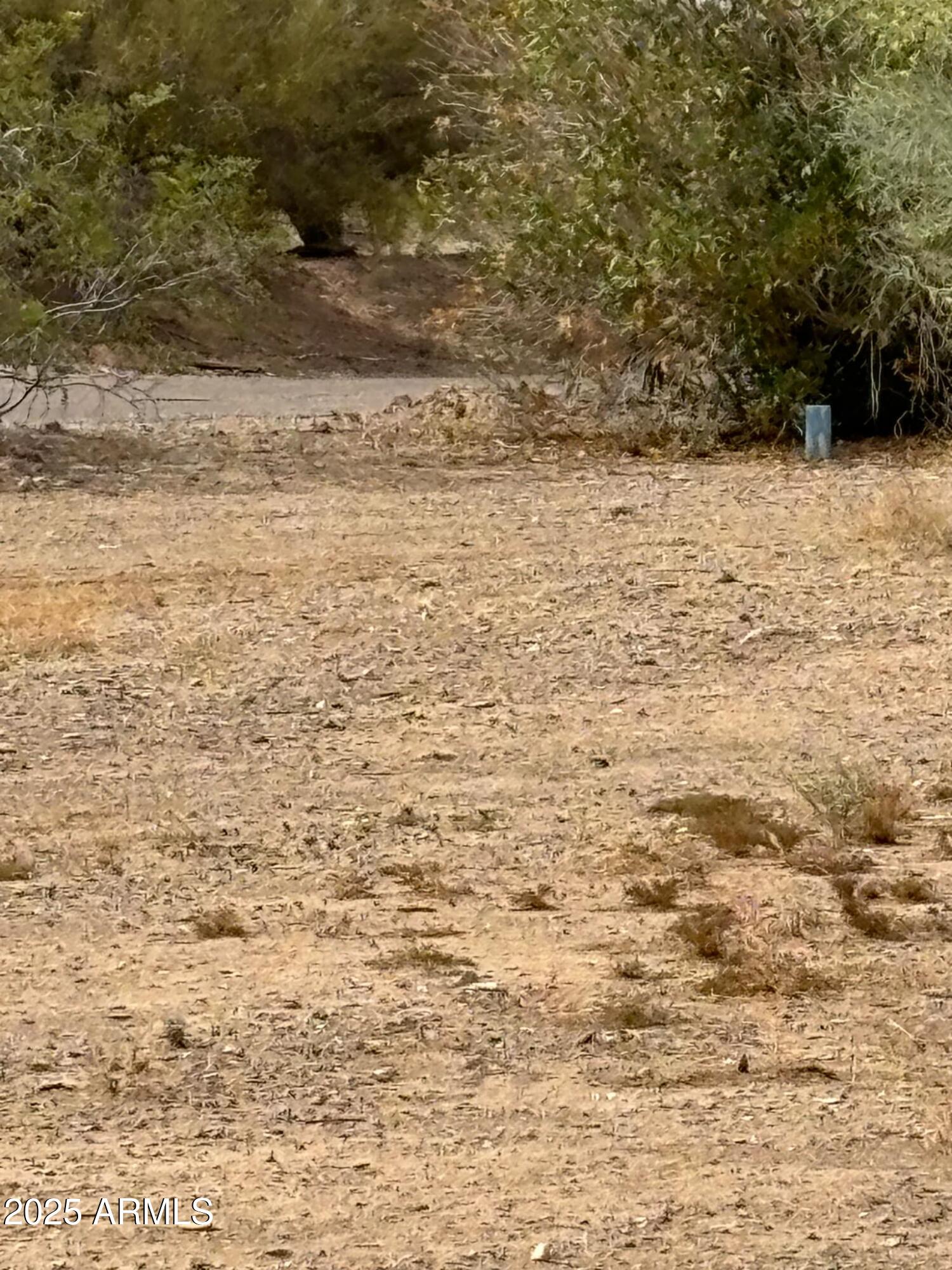 16515 W DIXILETA Drive C