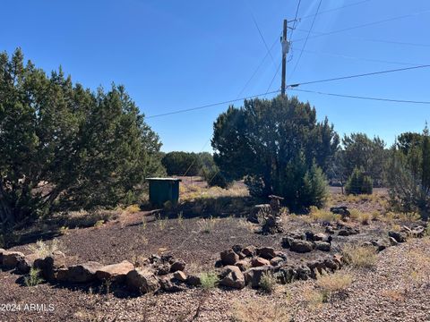 A home in Concho