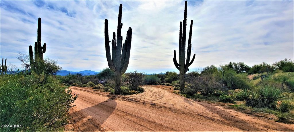 Photo of 141 E Hawknest Road #4, Scottsdale, AZ 85262 (MLS # 6822457)