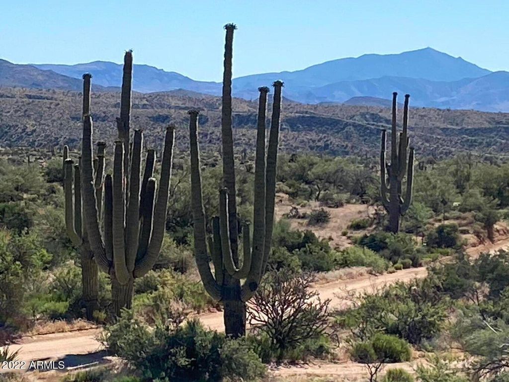 Photo of 141 E Hawknest Road #4, Scottsdale, AZ 85262 (MLS # 6822457)